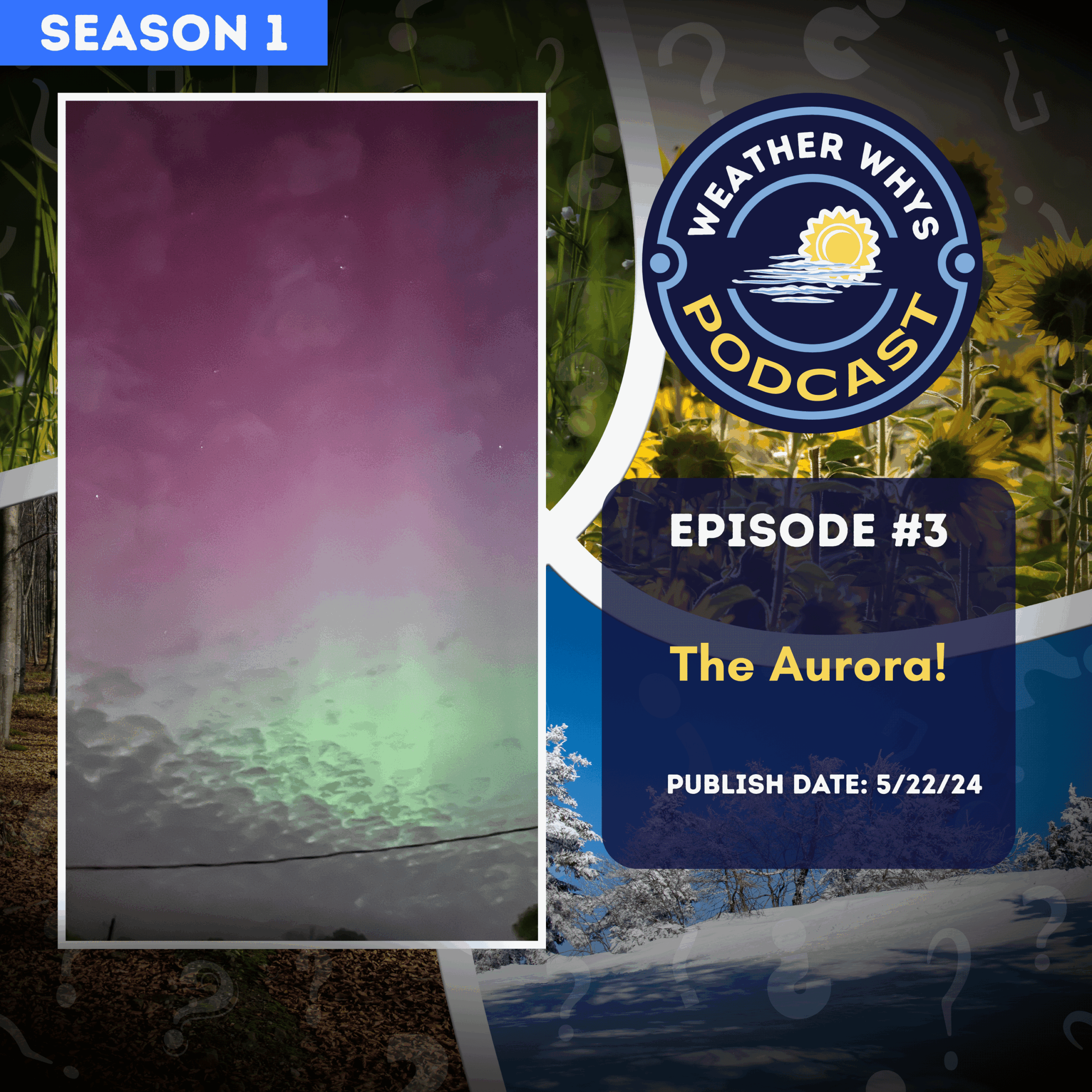 Episode 3: Auroral Musings – Our First Sighting! Wow!
