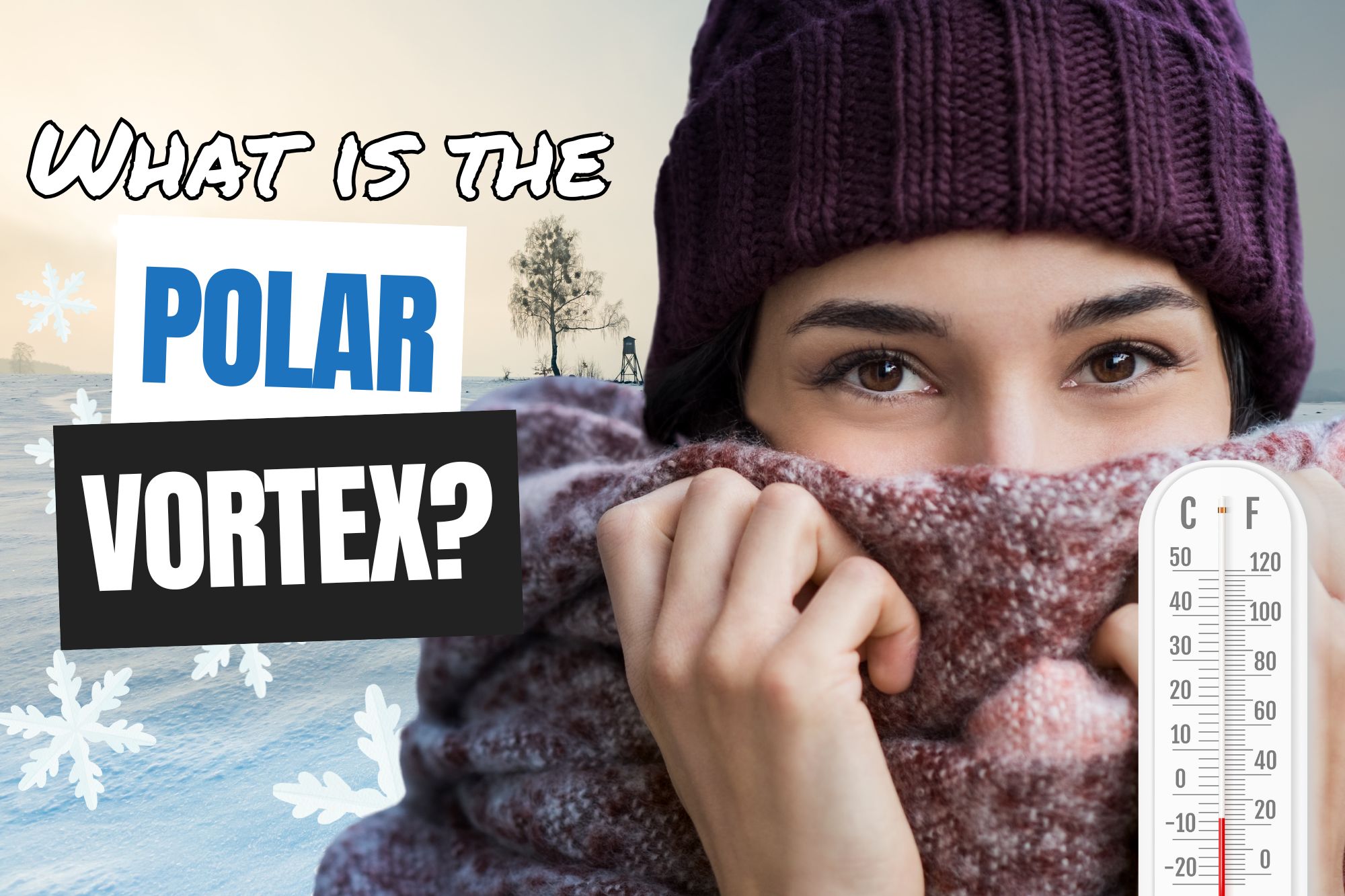 what is the polar vortex