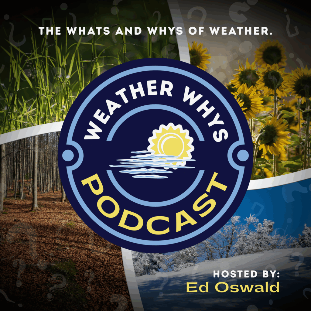 2025 26podcover